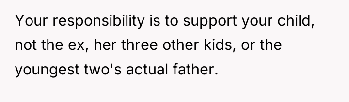 Your responsibility is to support your child, not the ex,...