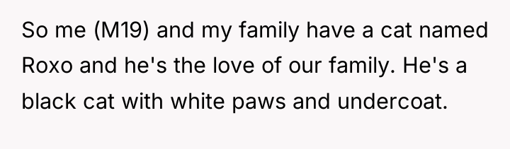 So me (M19) and my family have a cat named...