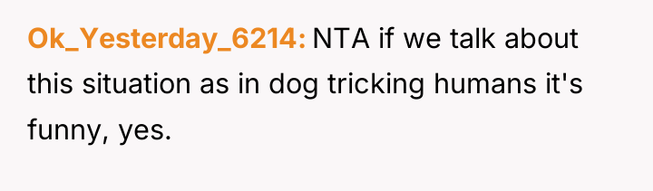 Ok_Yesterday_6214 NTA if we talk about this situation as in...