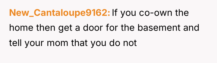 New_Cantaloupe9162 If you co-own the home then get a door...