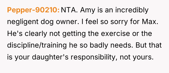 Pepper-90210 NTA. Amy is an incredibly negligent dog owner. I...