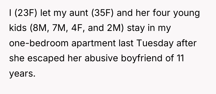 I (23F) let my aunt (35F) and her four young...