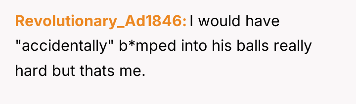 Revolutionary_Ad1846 I would have "accidentally" b*mped into his balls really...