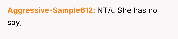 Aggressive-Sample612 NTA. She has no say,