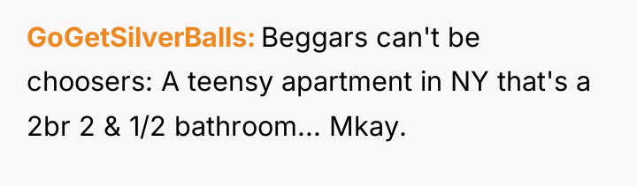 GoGetSilverBalls Beggars can't be choosers: A teensy apartment in NY...