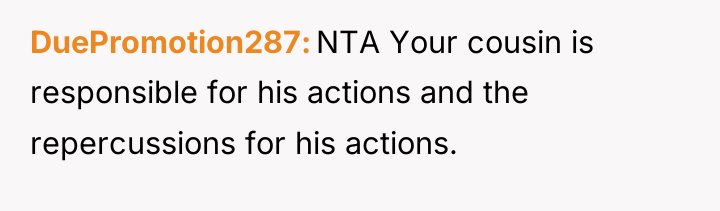 DuePromotion287 NTA Your cousin is responsible for his actions and...