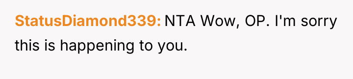 StatusDiamond339 NTA Wow, OP. I'm sorry this is happening to...