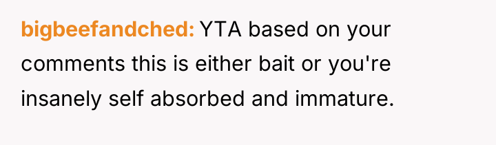 bigbeefandched YTA based on your comments this is either bait...