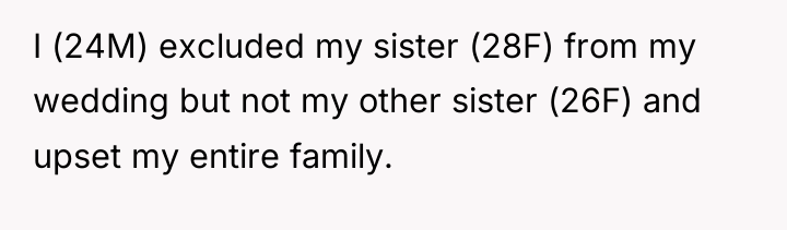 I (24M) excluded my sister (28F) from my wedding but...