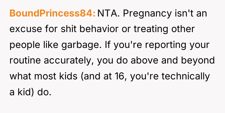 BoundPrincess84 NTA. Pregnancy isn't an excuse for shit behavior or...
