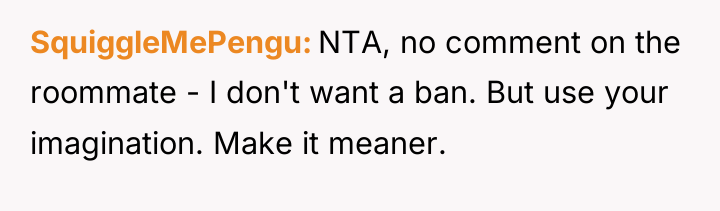 SquiggleMePengu NTA, no comment on the roommate - I don't...