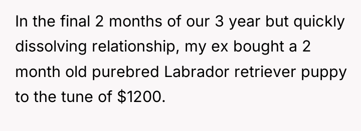 In the final 2 months of our 3 year but...