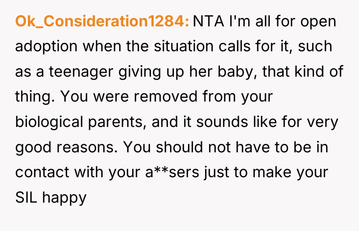 Ok_Consideration1284 NTA I'm all for open adoption when the situation...