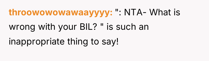 throowowowawaayyyy ": NTA- What is wrong with your BIL? "...