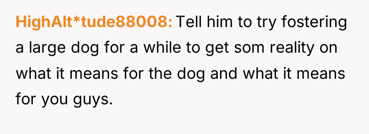 HighAlt*tude88008 Tell him to try fostering a large dog for...