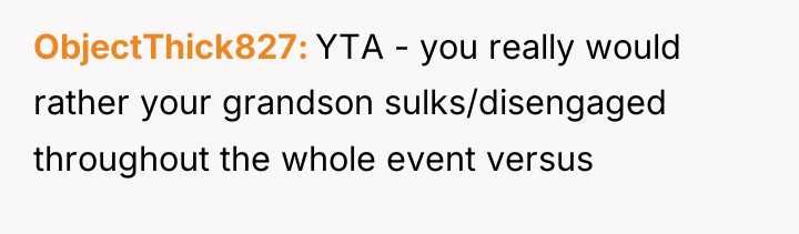 ObjectThick827 YTA - you really would rather your grandson sulks/disengaged...