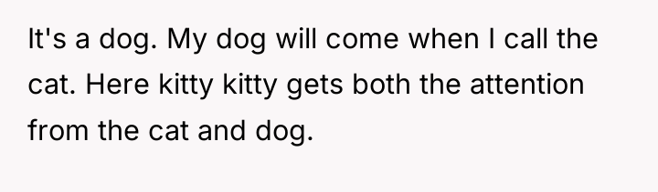 It's a dog. My dog will come when I call...