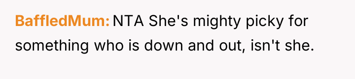 BaffledMum NTA She's mighty picky for something who is down...