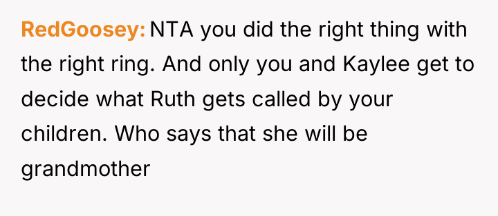 RedGoosey NTA you did the right thing with the right...