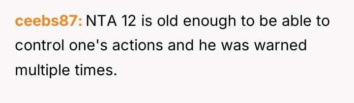 ceebs87 NTA 12 is old enough to be able to...