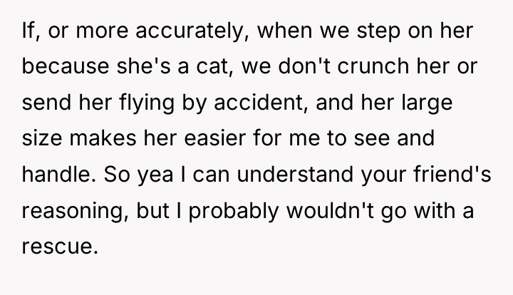 If, or more accurately, when we step on her because...