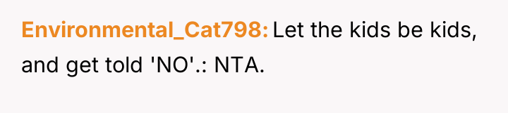 Environmental_Cat798 Let the kids be kids, and get told 'NO'.:...