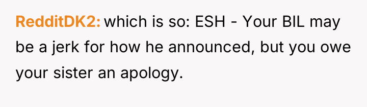 RedditDK2 which is so: ESH - Your BIL may be...