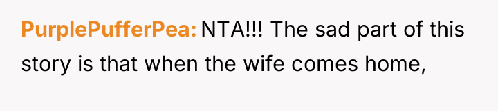 PurplePufferPea NTA!!! The sad part of this story is that...