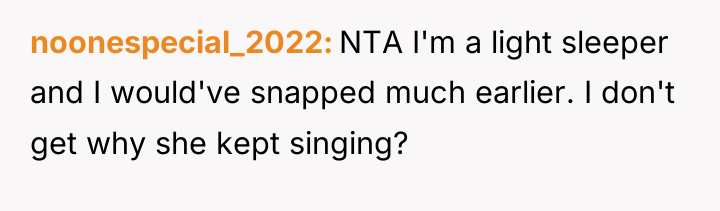 noonespecial_2022 NTA I'm a light sleeper and I would've snapped...