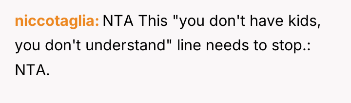 niccotaglia NTA This "you don't have kids, you don't understand"...