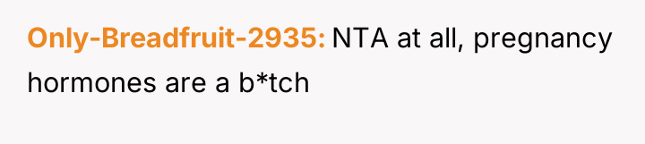 Only-Breadfruit-2935 NTA at all, pregnancy hormones are a b*tch