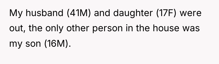 My husband (41M) and daughter (17F) were out, the only...