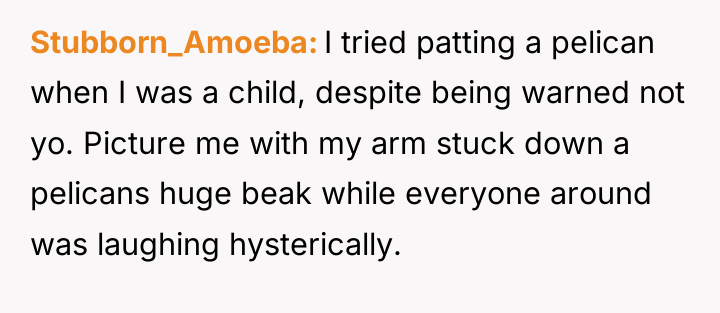 Stubborn_Amoeba I tried patting a pelican when I was a...