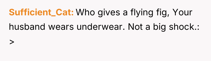 Sufficient_Cat Who gives a flying fig, Your husband wears underwear....