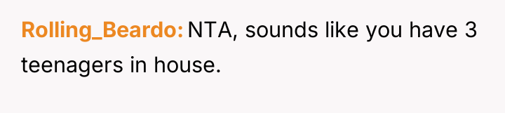 Rolling_Beardo NTA, sounds like you have 3 teenagers in house.