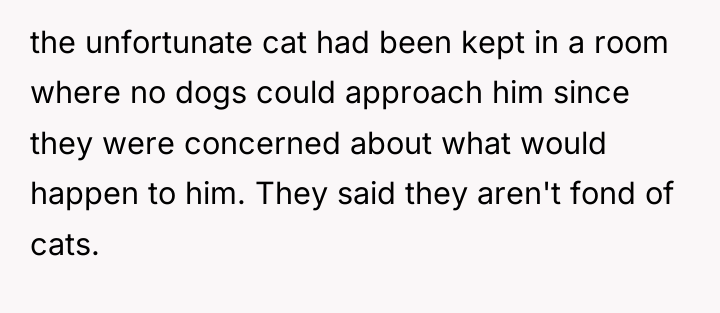 the unfortunate cat had been kept in a room where...