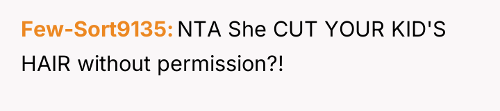 Few-Sort9135 NTA She CUT YOUR KID'S HAIR without permission?!
