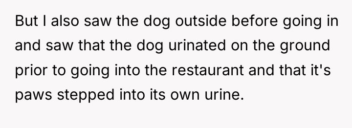 But I also saw the dog outside before going in...
