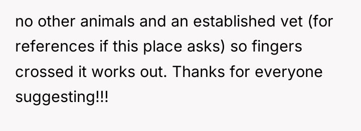 no other animals and an established vet (for references if...