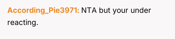 According_Pie3971 NTA but your under reacting.