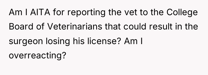 Am I AITA for reporting the vet to the College...