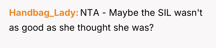 Handbag_Lady NTA - Maybe the SIL wasn't as good as...