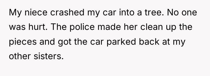 My niece crashed my car into a tree. No one...
