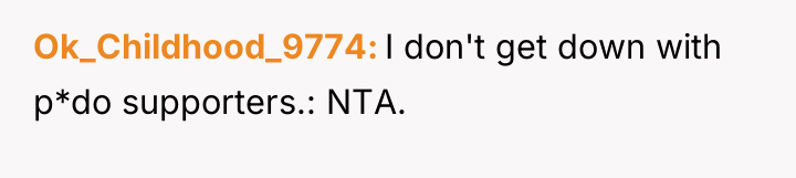 Ok_Childhood_9774 I don't get down with p*do supporters.: NTA.