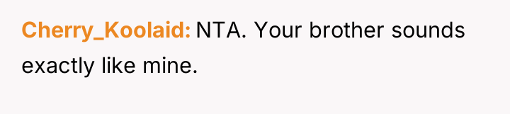 Cherry_Koolaid NTA. Your brother sounds exactly like mine.