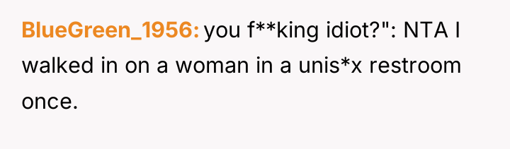 BlueGreen_1956 you f**king idiot?": NTA I walked in on a...