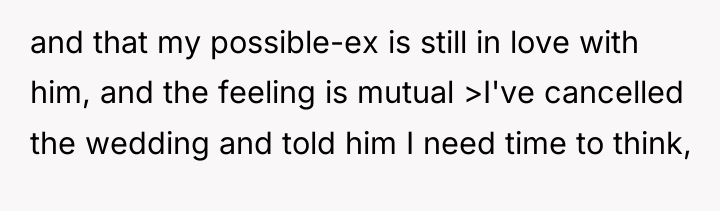 and that my possible-ex is still in love with him,...