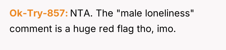 Ok-Try-857 NTA. The "male loneliness" comment is a huge red...