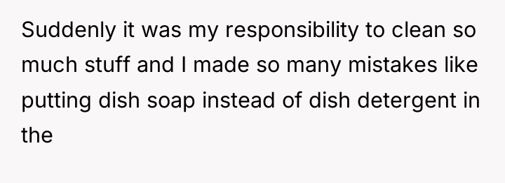 Suddenly it was my responsibility to clean so much stuff...