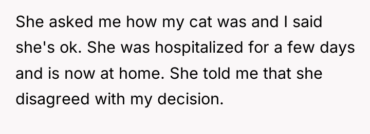 She asked me how my cat was and I said...